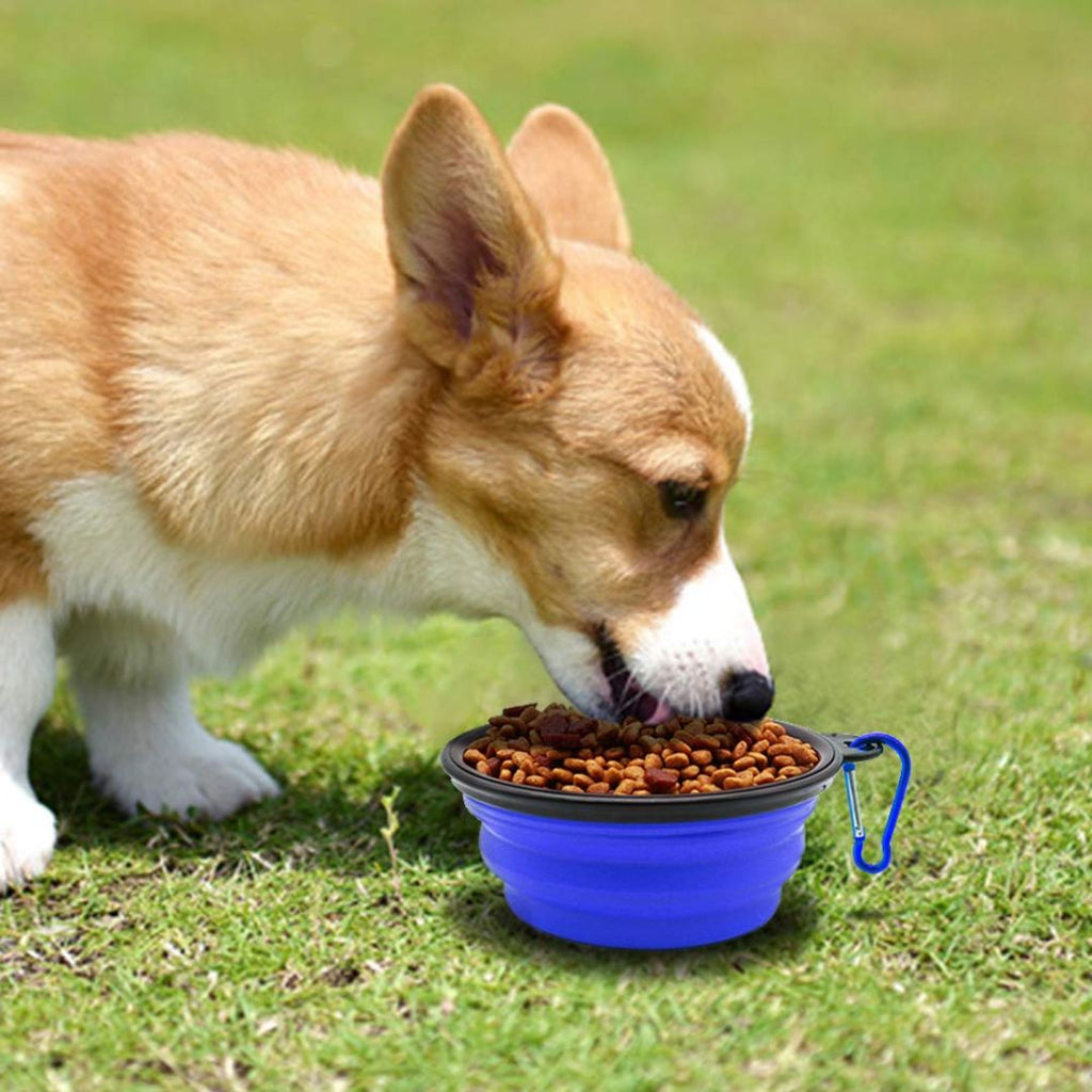 Foldable Silicone Pet Feed Bowl