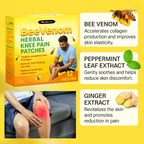 Bee Venom Knee Patches | Detoxify Body | Relief Joint Pain | Loose Extra Fat