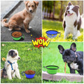 Foldable Silicone Pet Feed Bowl