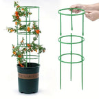 3 Layer Plant Support Cage
