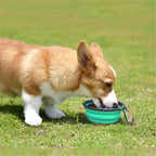 Foldable Silicone Pet Feed Bowl