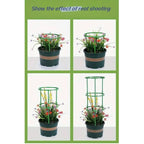 3 Layer Plant Support Cage