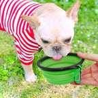 Foldable Silicone Pet Feed Bowl